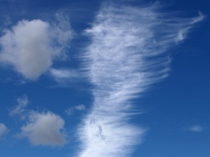 Federwolken im September