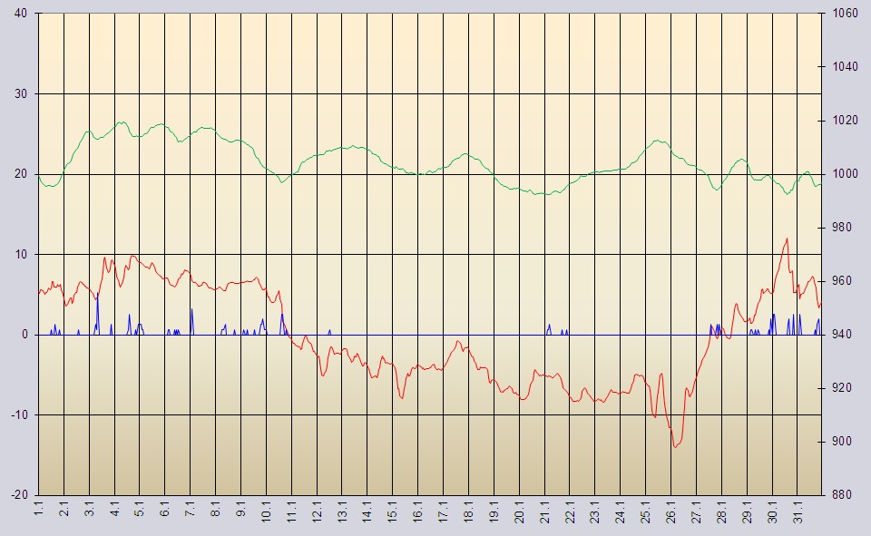 Temperaturverlauf im Januar 2013