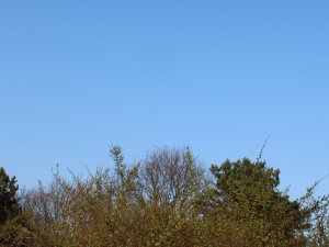 blauer Himmel