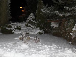 Schnee im Februar 2015