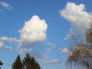 Cumulus im April 2020