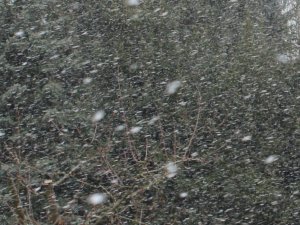 Schnee Ende März