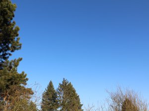 blauer Himmel März 2022