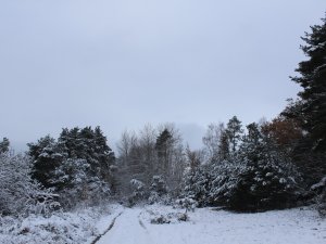 Schnee Anfang Dezember