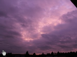 violette Wolken