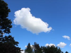 Cumulus humilis im Osten