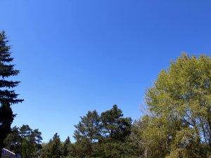 blauer Himmel im sonnigen April
