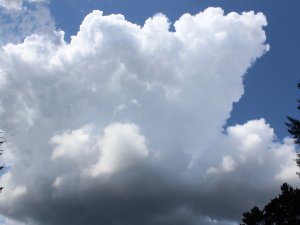 aufquellende Haufenwolke