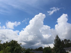 das Himmelsbild im Mai
