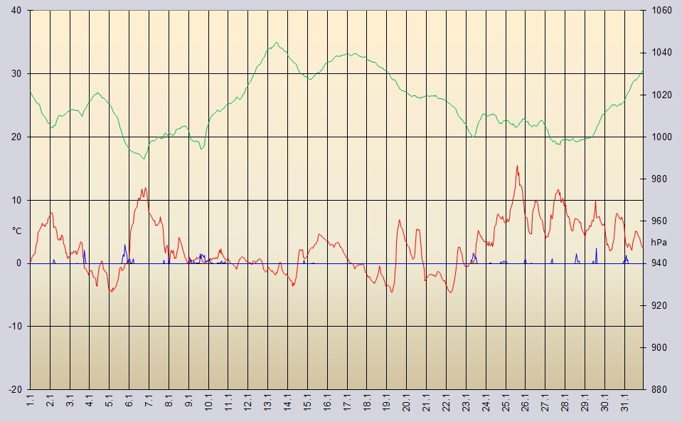 Temperaturverlauf Januar 2025