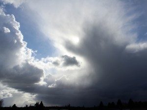 eine wilde Schauerzelle