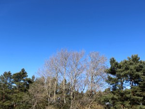 blauer Himmel im M&auml;rz 2026